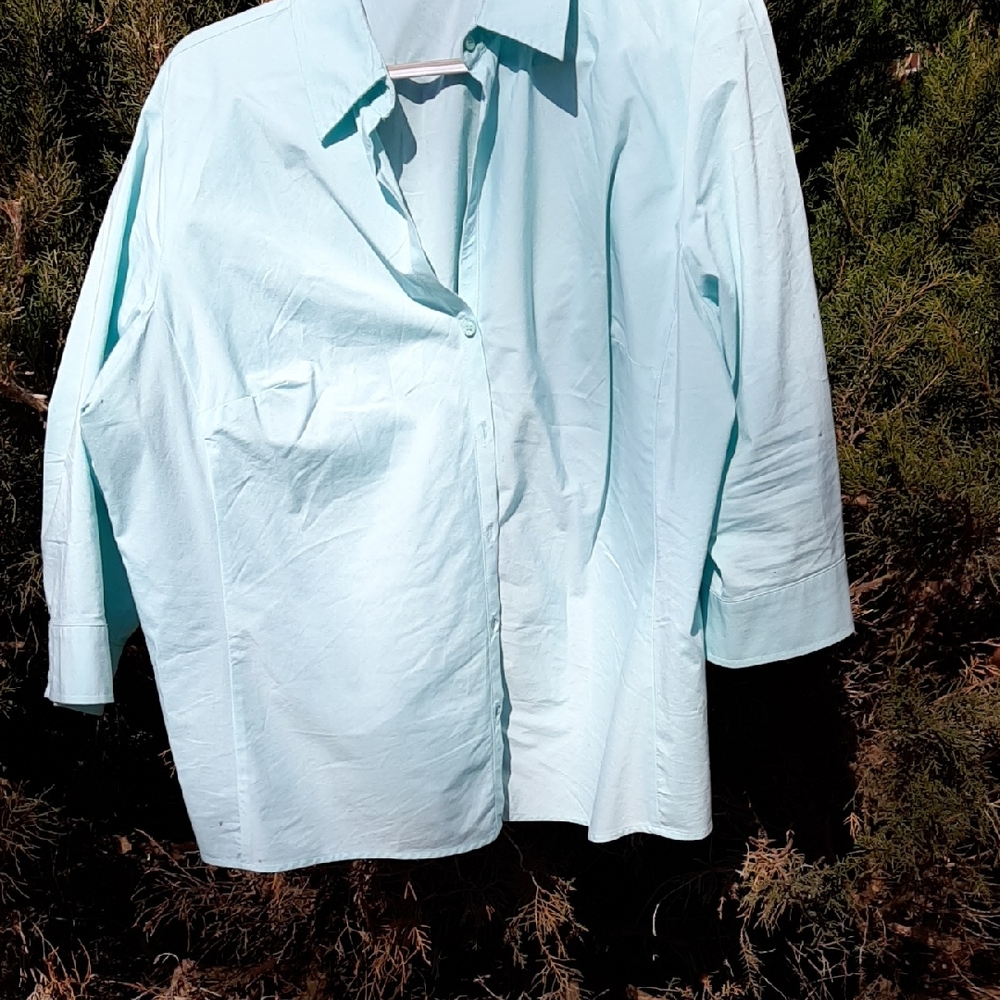 Worthington Light Blue Blouse Sz 2X